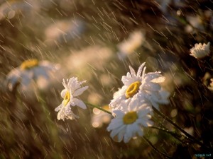 tumblr_maiperJDsq1rn3fofo1_1280