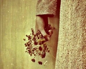 img_02722e-9cc482-870fb7-c8305f-735dea-0eb6c5